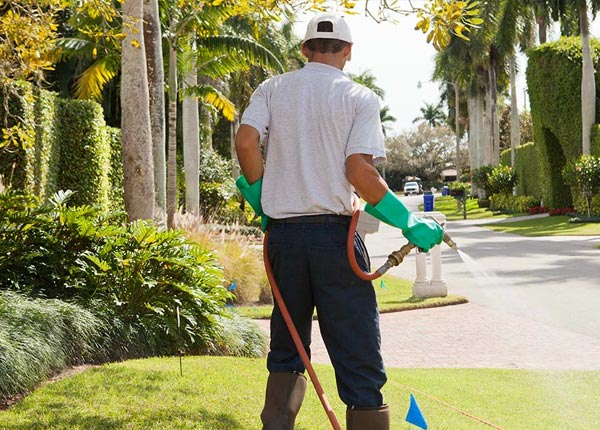 About New Lebanon NY Pest Control